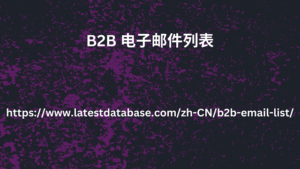 B2B 电子邮件列表